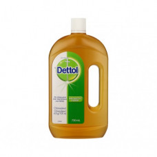 DETTOL LIQ 6X750ML CASE